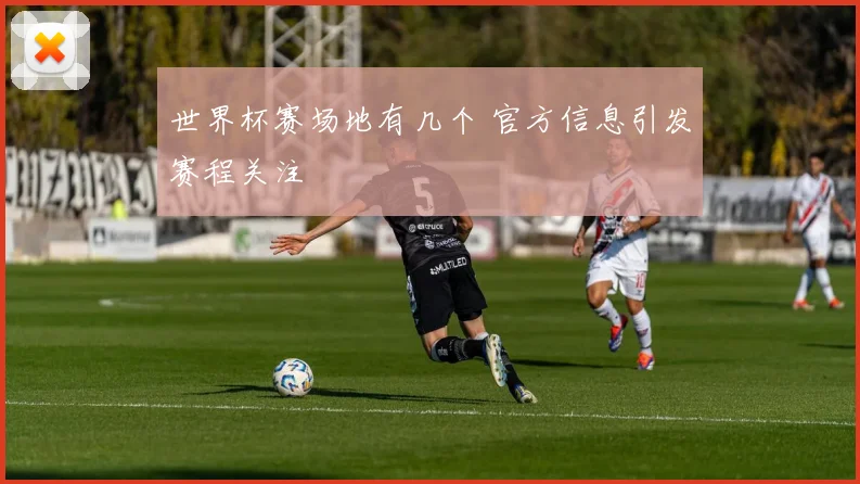 世界杯赛场地有几个 官方信息引发赛程关注