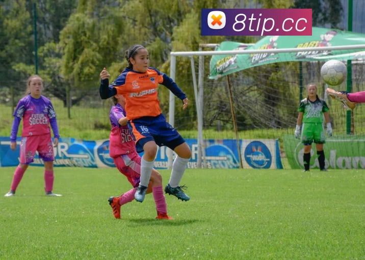 压球首页平台生态图